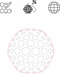logo concept